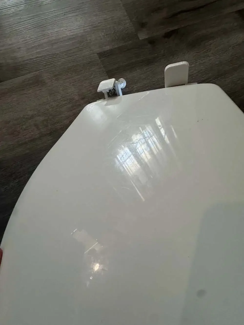 Bemis Little2Big Round Toilet Seat with Built-In Child Potty Training Ring